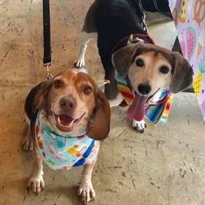 Meet your Posher, Mary jo